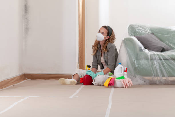Reliable Mold Cleanup contractor in Round Hill, VA by WQB Mold Removal